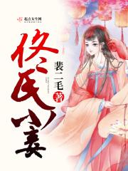 驸马有妾吗