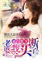 女主叫沈知南的