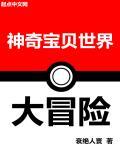 穿越到江湖的小女子免费阅读