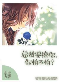 何氏家族的起源