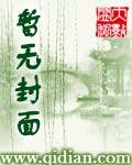 全职高手