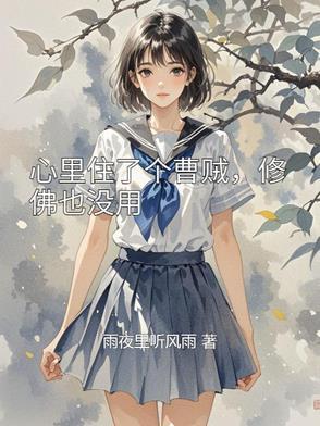 我是乡镇公务员张华结局