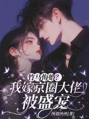 重生侯府嫡女月下听风