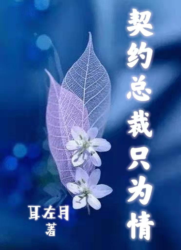 穿越之婆婆大集锦金皮