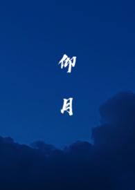 太太她另寻新欢了免费阅读